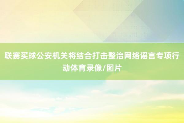 联赛买球公安机关将结合打击整治网络谣言专项行动体育录像/图片