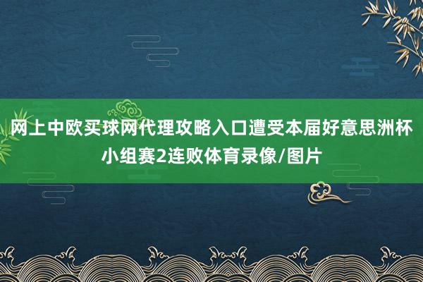 网上中欧买球网代理攻略入口遭受本届好意思洲杯小组赛2连败体育录像/图片