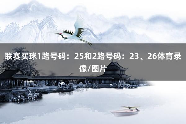 联赛买球1路号码：25和2路号码：23、26体育录像/图片