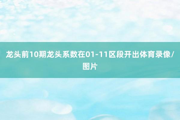 龙头前10期龙头系数在01-11区段开出体育录像/图片