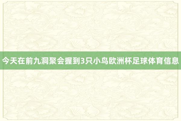 今天在前九洞聚会握到3只小鸟欧洲杯足球体育信息